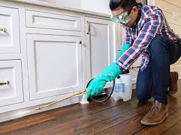 Best Residential Pest Control  in Westwego, LA