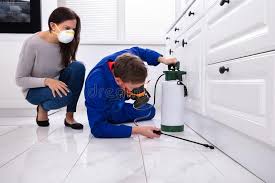 Best Pest Exclusion Services  in Westwego, LA